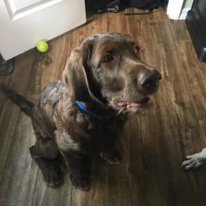 Meet your Posher, Linda